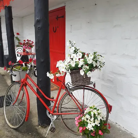 Ferienhaus Shannon Breeze *