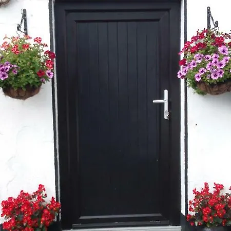 Ferienhaus Shannon Breeze Ballycrossaun