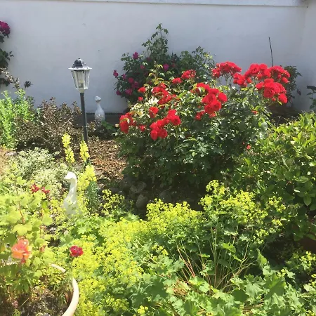 Ferienhaus Shannon Breeze Ballycrossaun