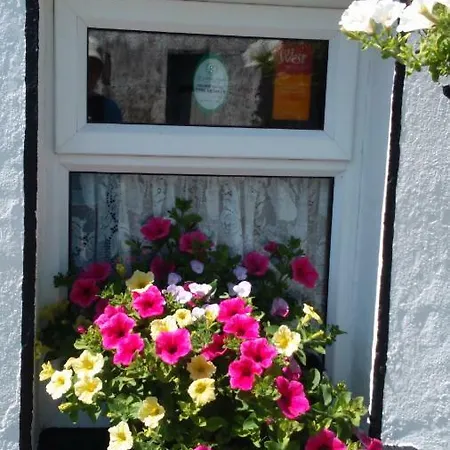 Shannon Breeze Ballycrossaun
